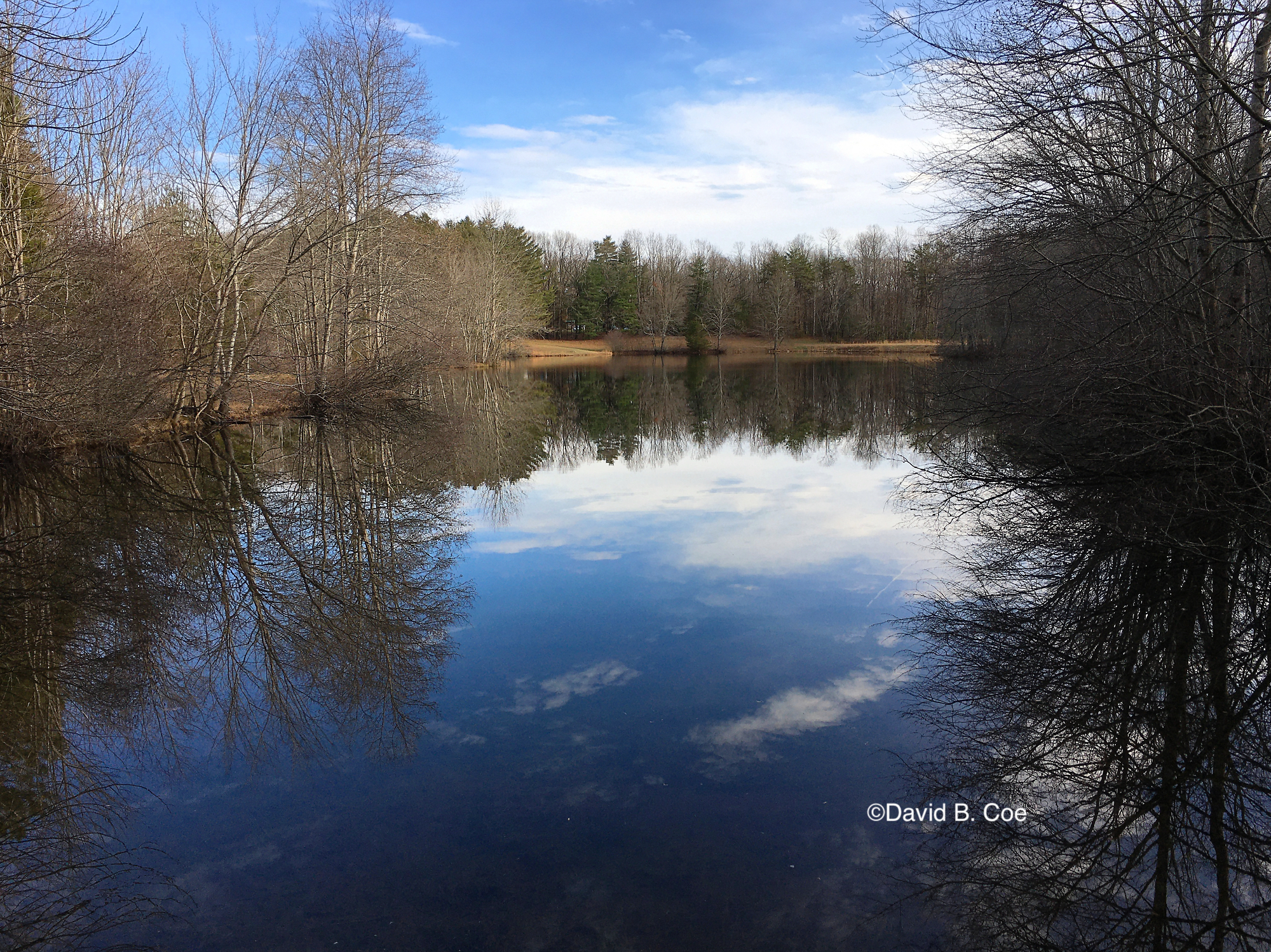 "Winter Reflections II, Lake Cheston, Sewanee," by David B. Coe