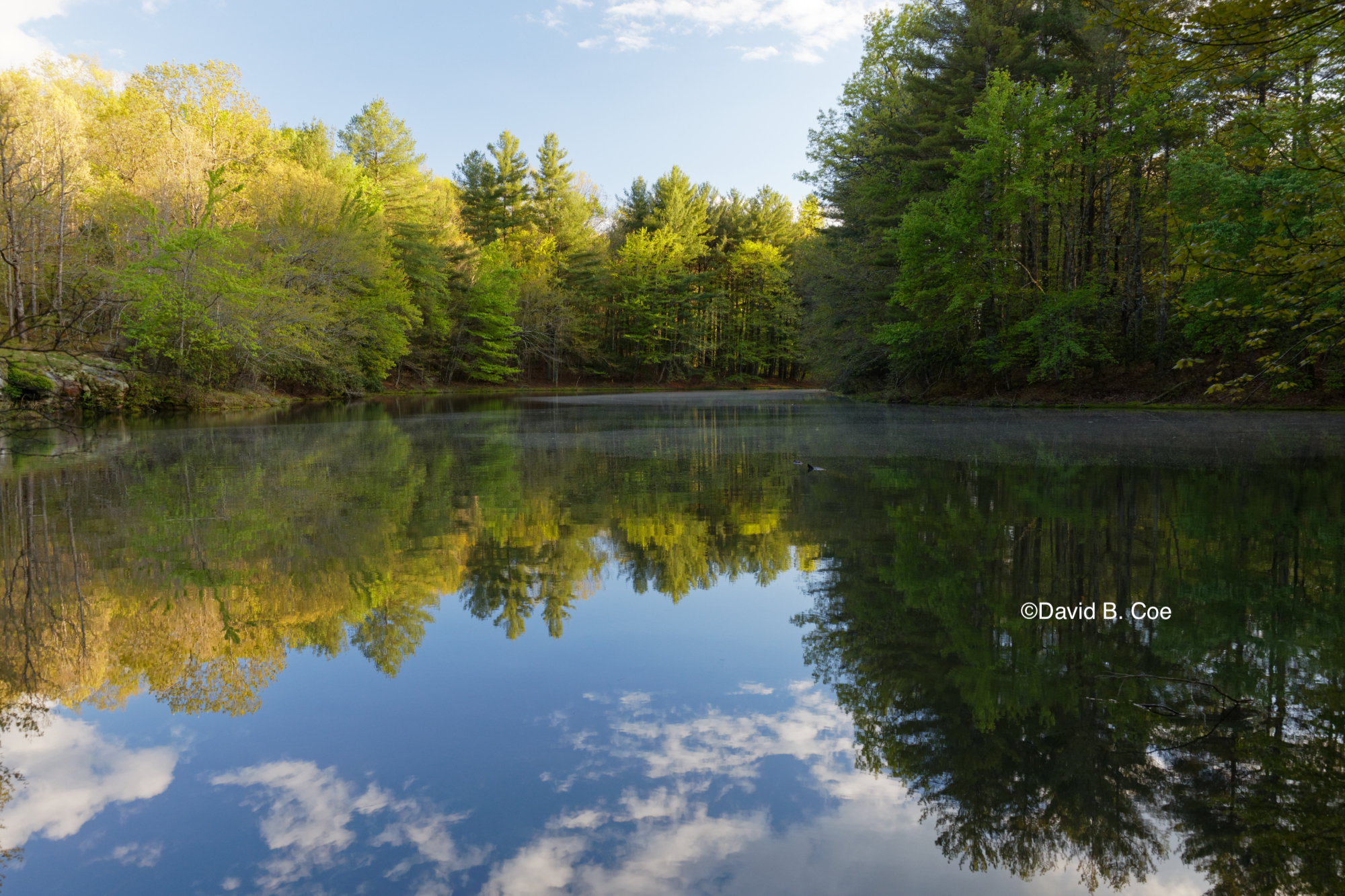 Golden Light, Lake Jackson, by David B. Coe