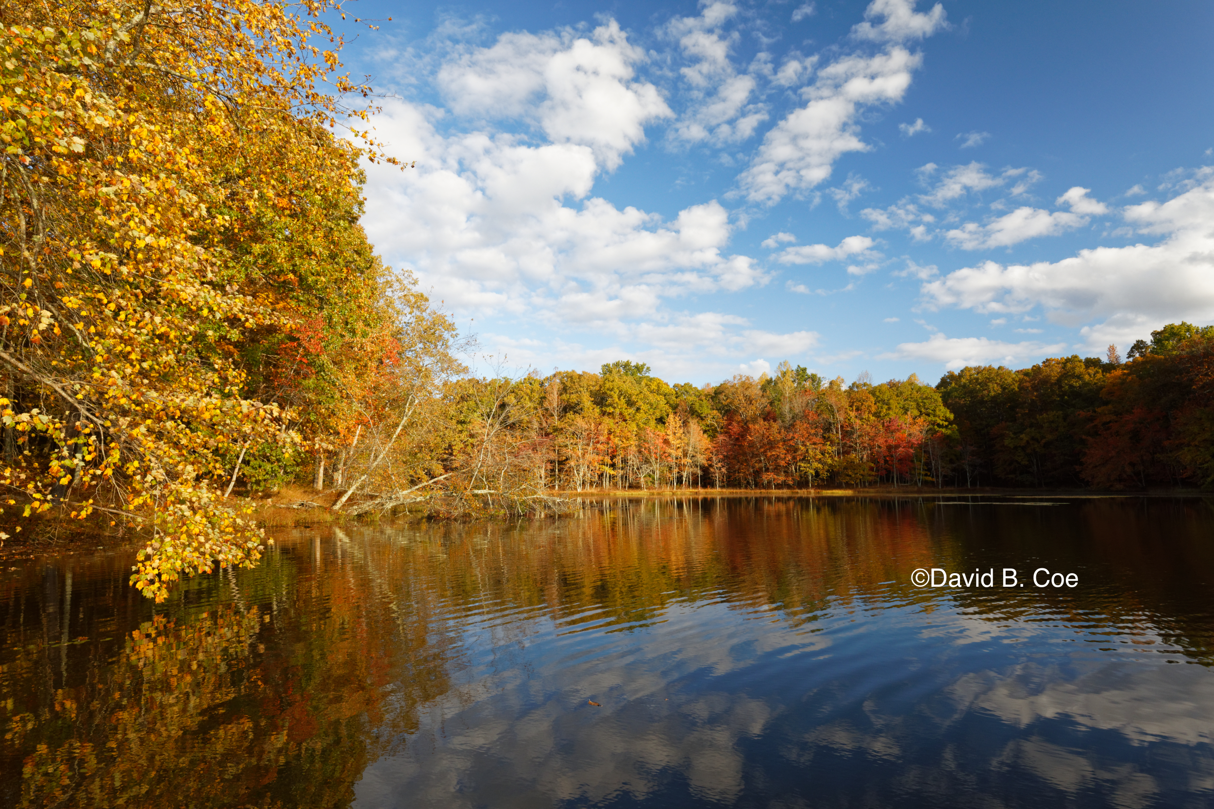 Foliage Reflections, Lake Dimmick (Wide Angle), by David B. Coe