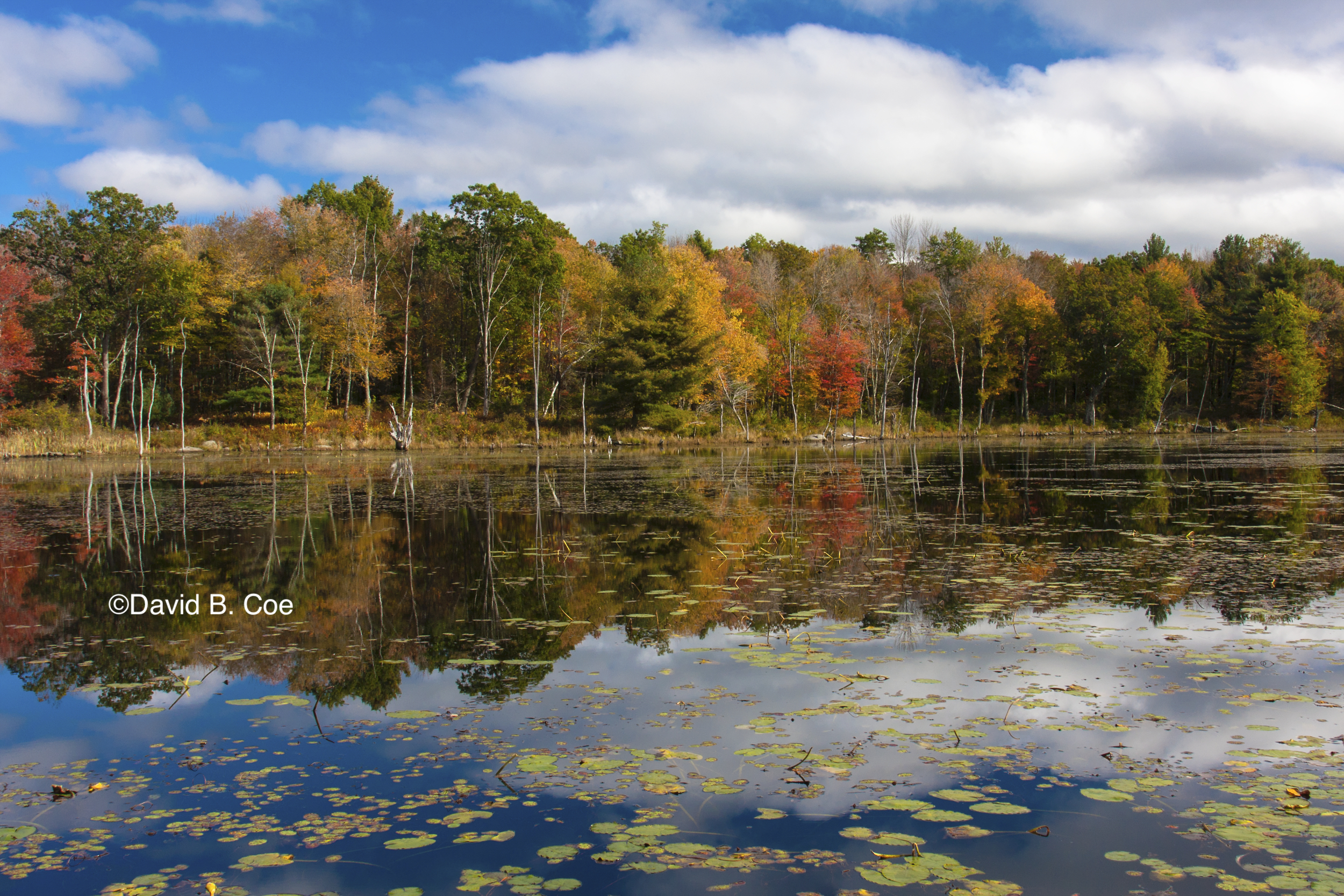 Wachusett Meadow Fall, by David B. Coe