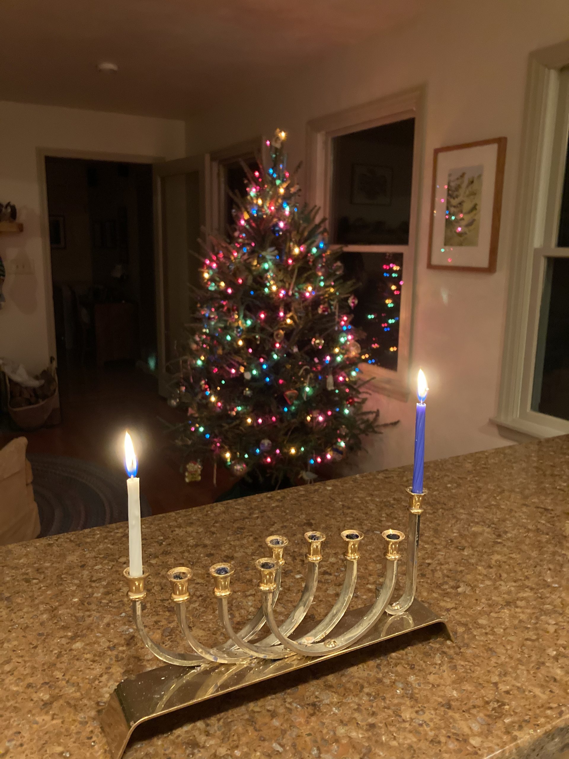 Menorah and Christmas Tree, by David B. Coe