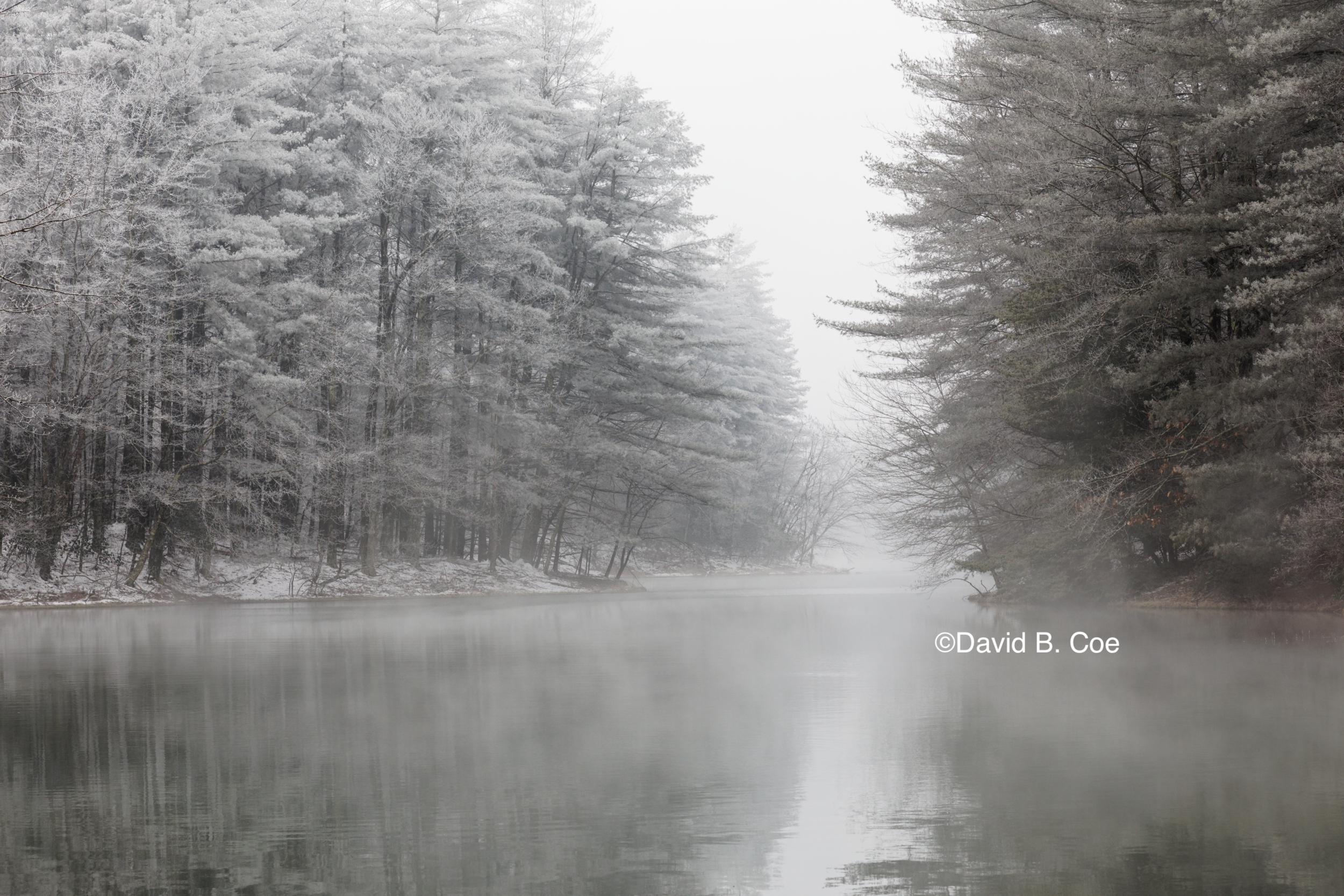 Jackson Lake with Frost and Mist, by David B. Coe