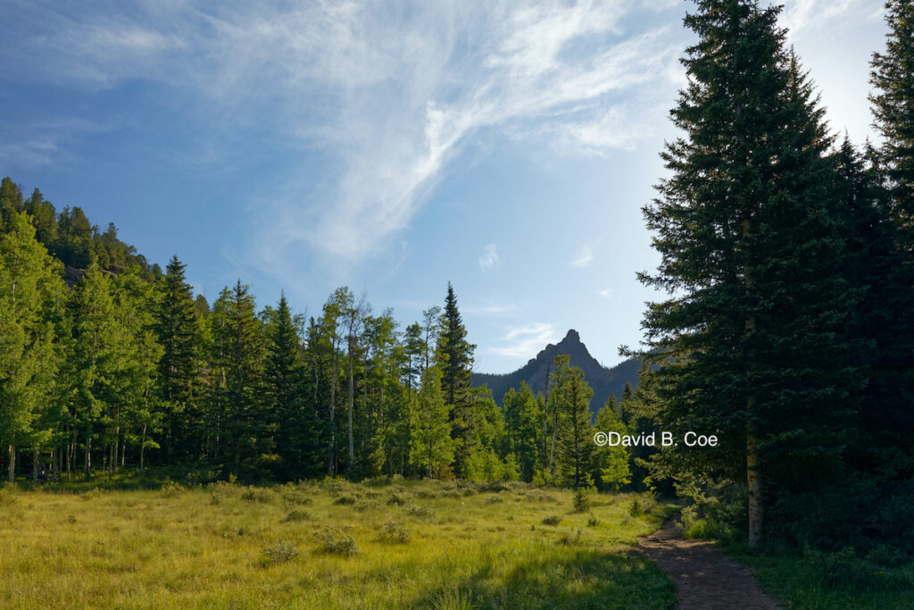 The Crags Trail, by David B. Coe